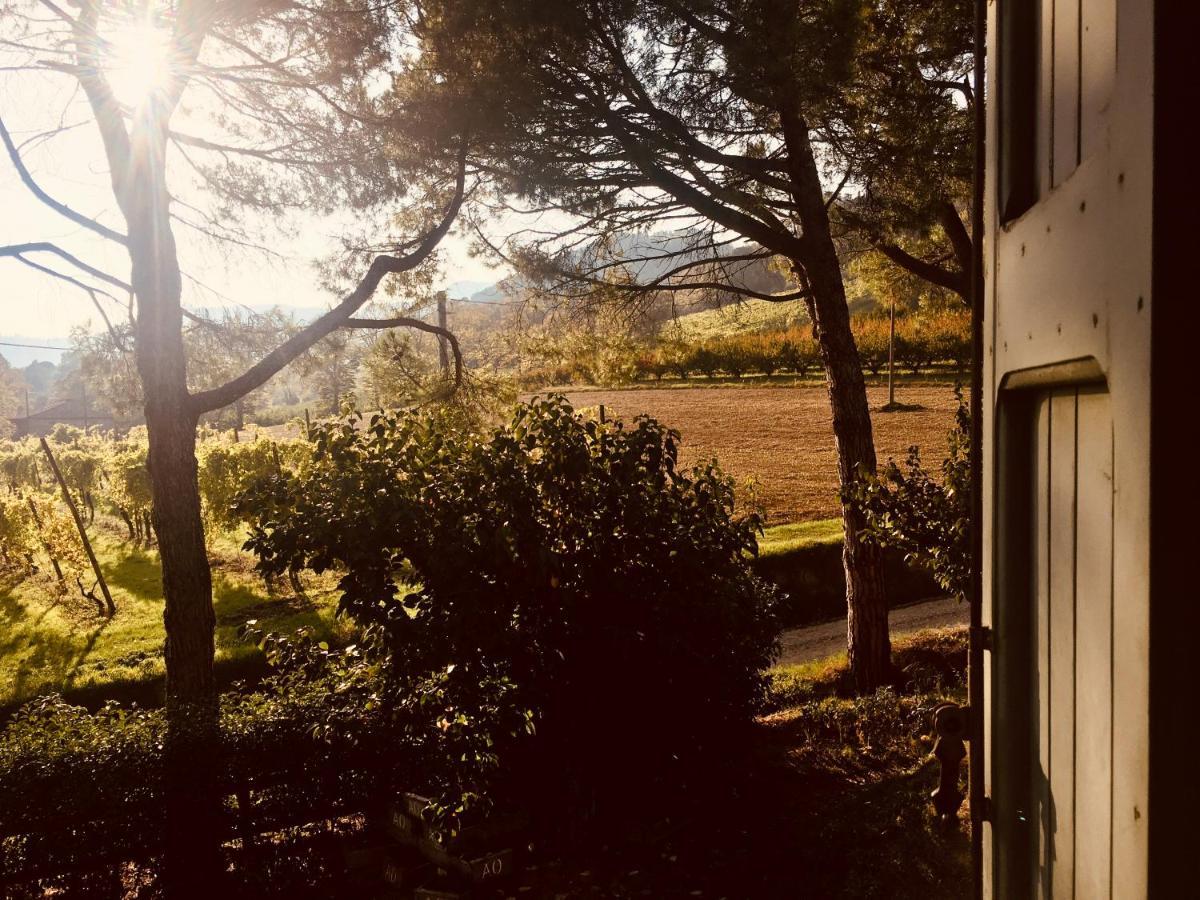 Il Cardello Locanda Casola Valsenio Bagian luar foto
