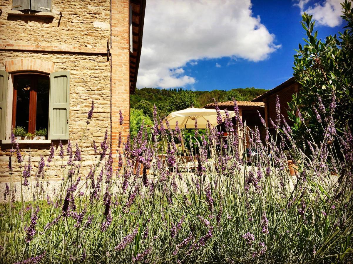 Il Cardello Locanda Casola Valsenio Bagian luar foto